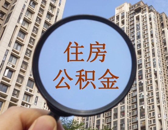 阿里离职了可以取出来公积金吗（离职了能否提取公积金）